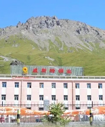 眾升科技系統(tǒng)輕載補(bǔ)償裝置--助力青海威斯特銅業(yè)有限責(zé)任公司,高效用電、改善電能質(zhì)量!